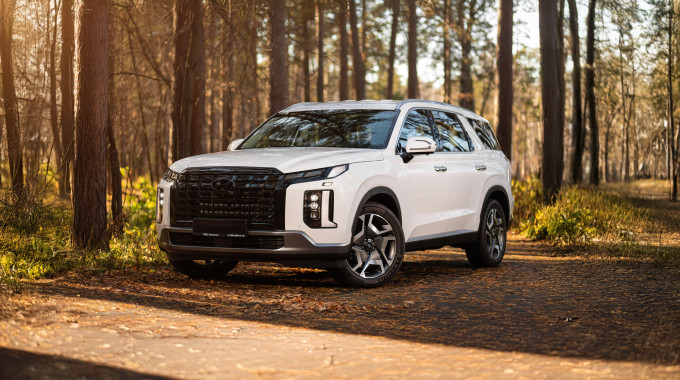 Hyundai Palisade SUV parked in the woods